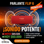 Parlante Flip 6 1