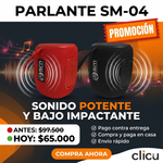 Parlante SM-04 1