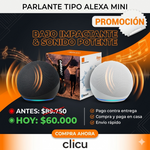 Parlante Tipo alexa Pequeño 1
