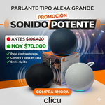Parlante Tipo alexa Grande 1